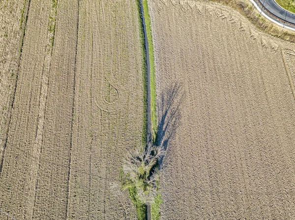 播種準備ができて耕されたフィールドの空中ビュー トスカーナ州 イタリア — ストック写真