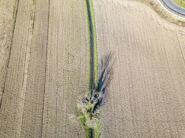 Aerial Drone Image Road Field — ストック写真