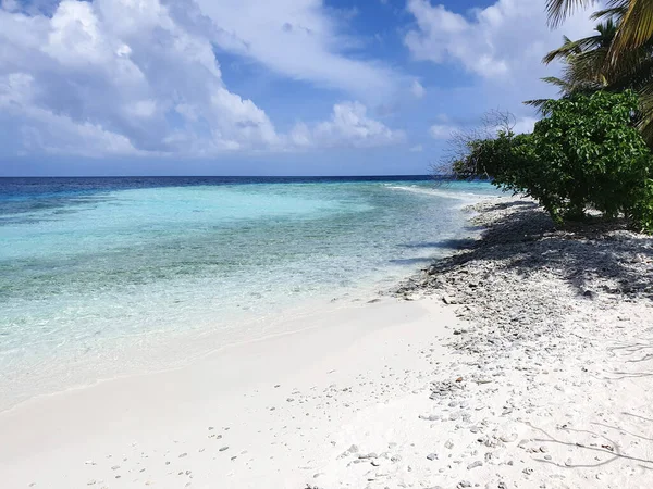 Praia Formada Por Conchas Conchas Que Morreram Após Tsunami Nas — Fotografia de Stock