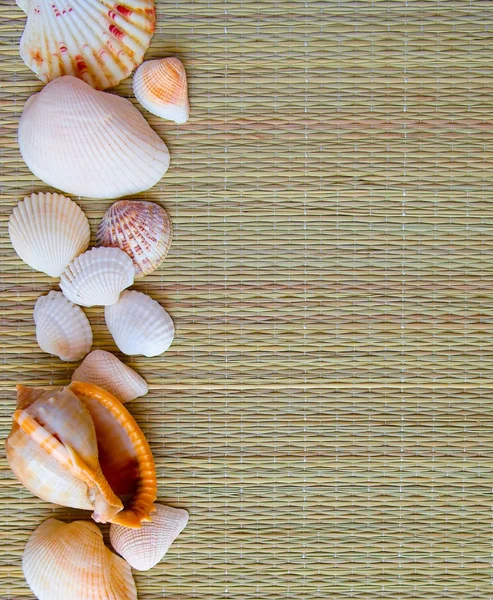 Background (texture) a beige rug from straw with sea cockleshell — Stock Photo, Image