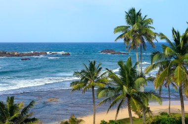 sri Lanka tropikal plaj