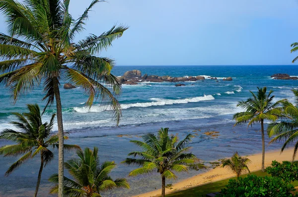 Playa tropical en Sri Lanka —  Fotos de Stock