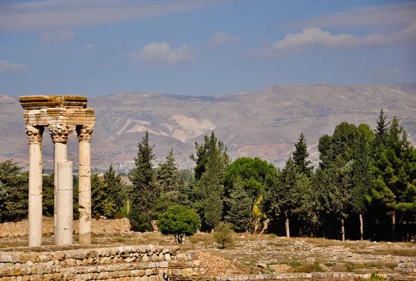 Ruinerna i anjar i Bekaadalen i Libanon umayyad staden Stockbild