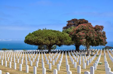 Fort Rosecrans National Cemetery at Point Loma in San Diego, Cal clipart