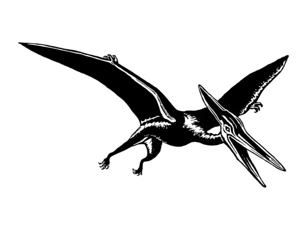 pterodactyl
