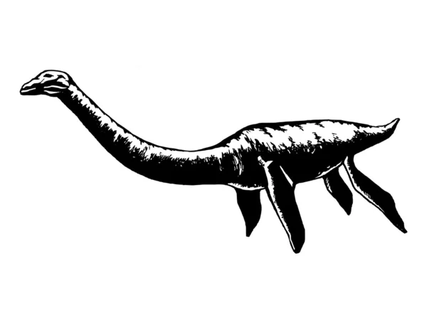 plesiosaur
