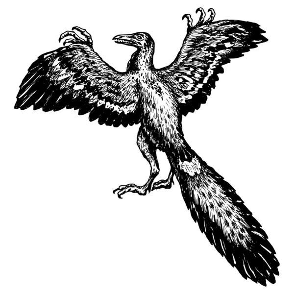 Archaeopteryx — Stock vektor