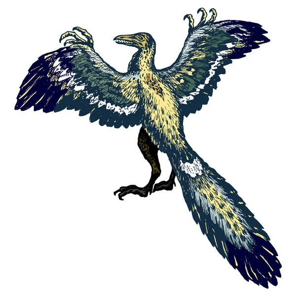Archaeopteryx