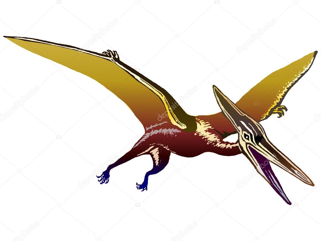 Pterodactyl Stock Illustrations – 5,741 Pterodactyl Stock Illustrations,  Vectors & Clipart - Dreamstime