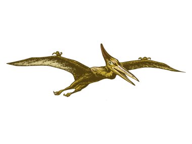 pterodactyl