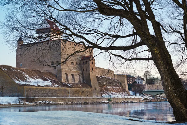 Castillo Hermann de Narva fortaleza paisaje de invierno —  Fotos de Stock