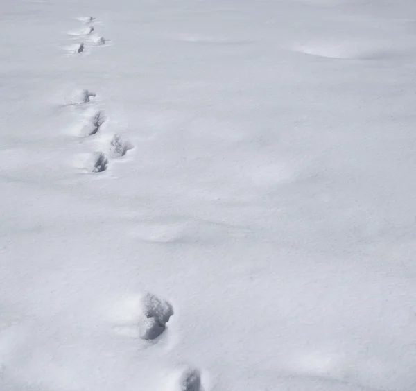 雪のコンポジションの背景の上の足跡 — ストック写真