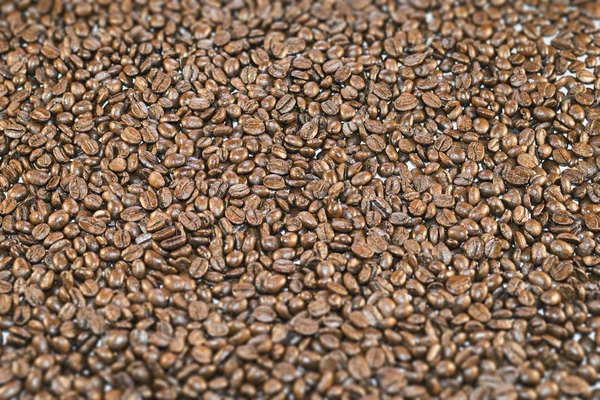 Surface covered with roasted coffee beans — Stock Photo, Image