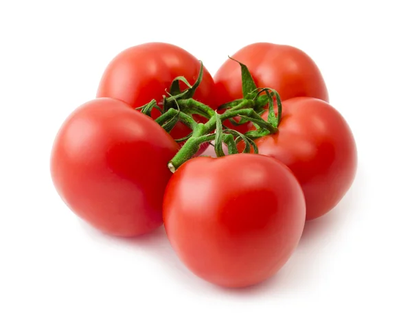 Bunch of red tomato over white background — Stock Photo, Image