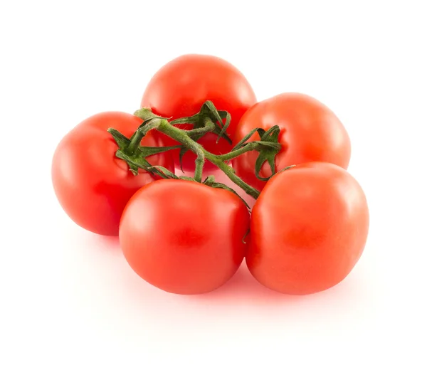 Bos van rode tomaten op witte achtergrond — Stockfoto