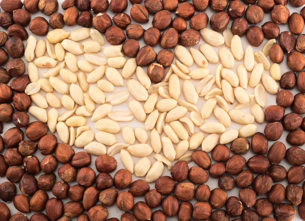Herzform aus Erdnüssen und Haselnüssen — Stockfoto