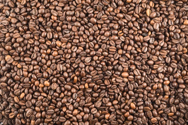 Coffee bean surface as a background — Stock Photo, Image