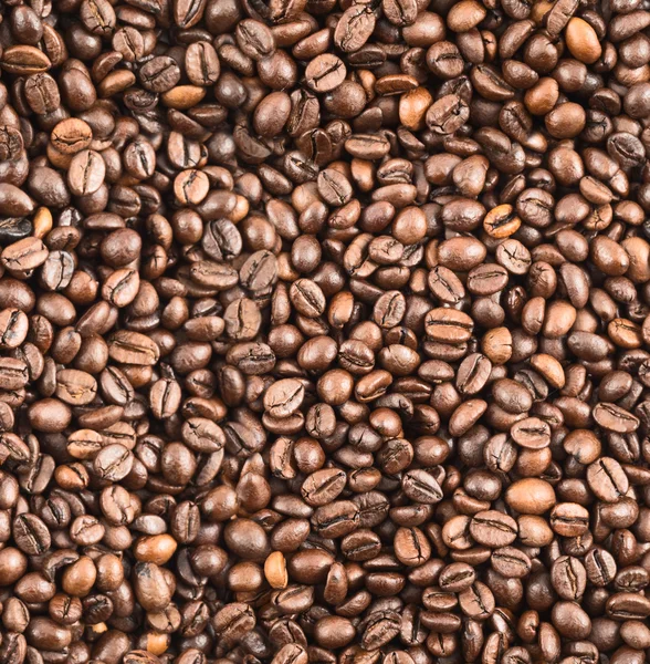 Coffee bean surface as a seamless background — Stock Photo, Image