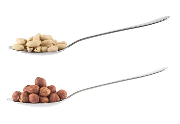 Metal spoons full of hazelnuts and peanuts — Stock Photo, Image