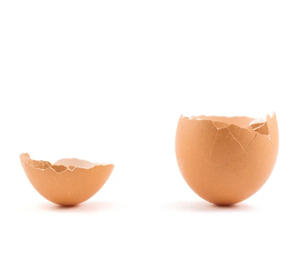 Egg shell cracked in two parts — Stock Photo, Image