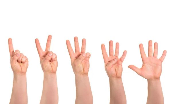 En till fem fingrar räkna hand gest isolerade — Stockfoto