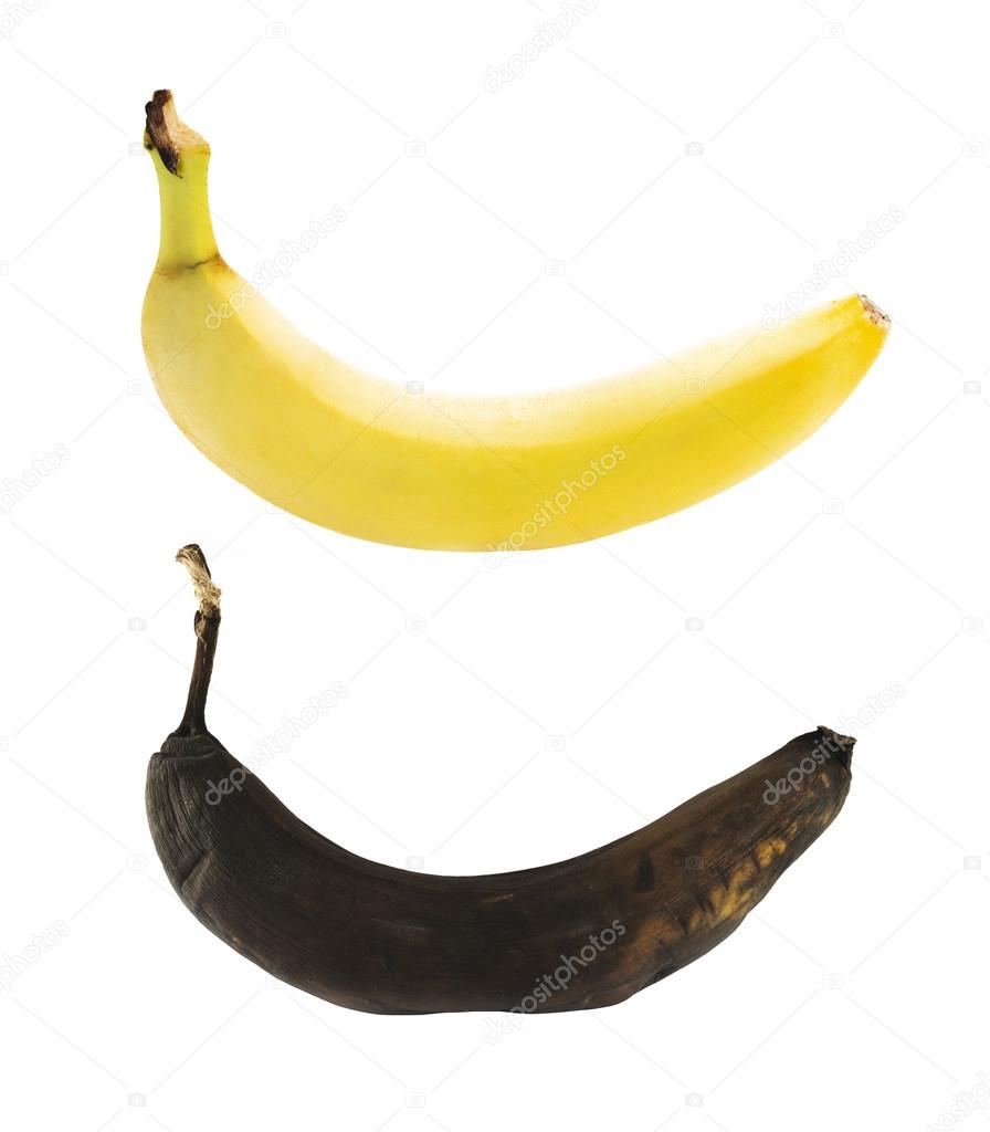 Spotless yellow and rotten bananas isolated