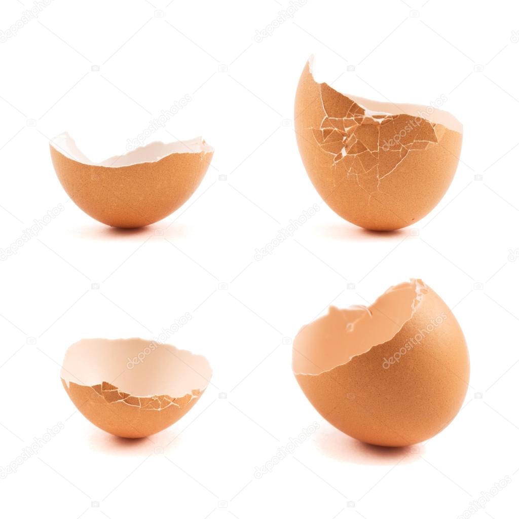 Egg shell cracked in two parts
