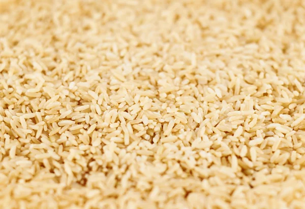 水煮的糙米 — 图库照片
