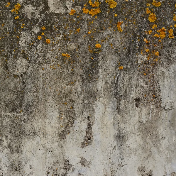 Staré betonové zdi — Stock fotografie