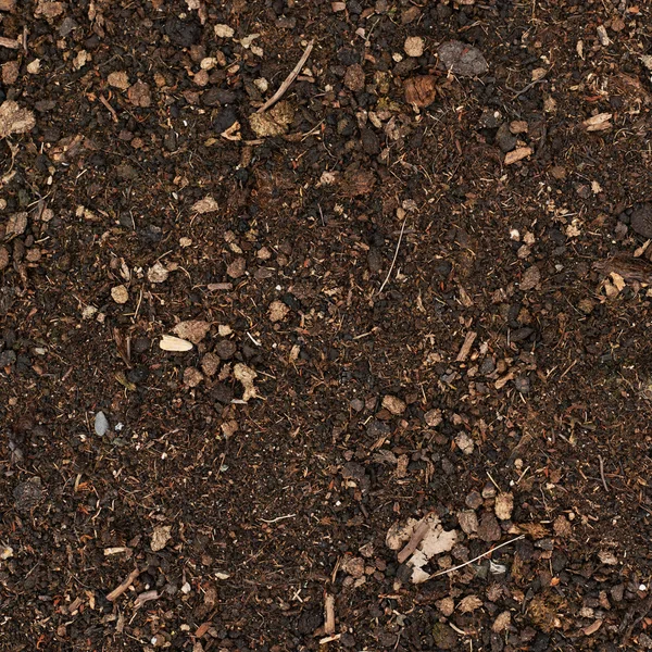 Malç ile kaplı toprak — Stok fotoğraf