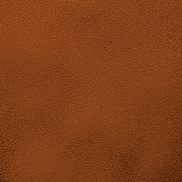 Leather texture fragment — Stock Photo, Image
