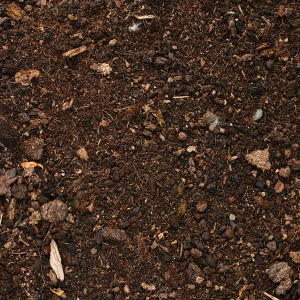 Earth covered with mulch — Stock Photo, Image