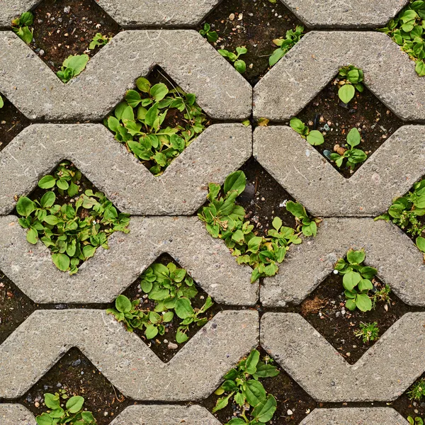 Earth ground covered with tiles — Stock Photo, Image