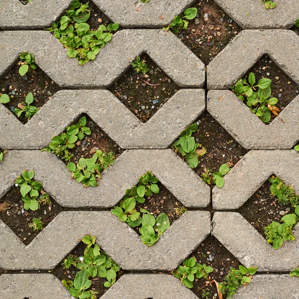 Earth ground covered with tiles — Stock Photo, Image