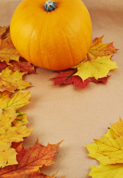 Orange pumpkin against maple-leaf background — Stock Photo, Image