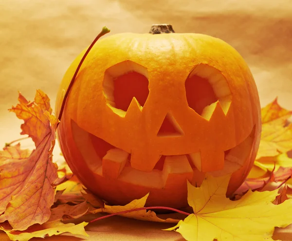 Calabaza Jack-o '-linterna sobre hoja de arce —  Fotos de Stock