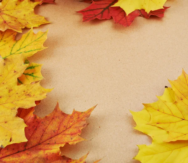 Papel texturizado coberto com folhas — Fotografia de Stock
