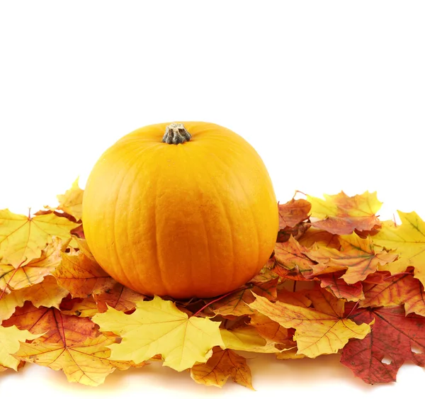 Calabaza naranja contra la composición de hojas de arce — Foto de Stock