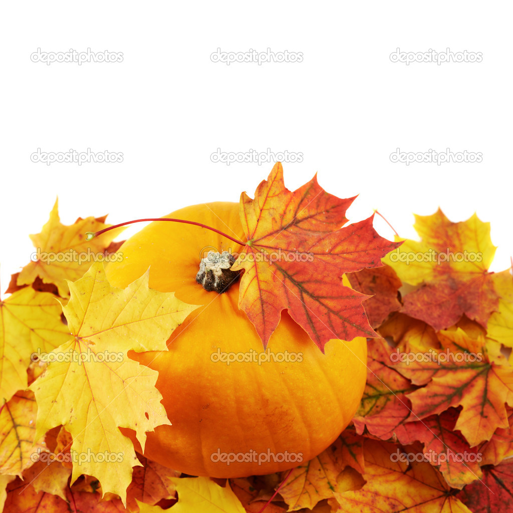 Orange pumpkin against maple-leaf composition