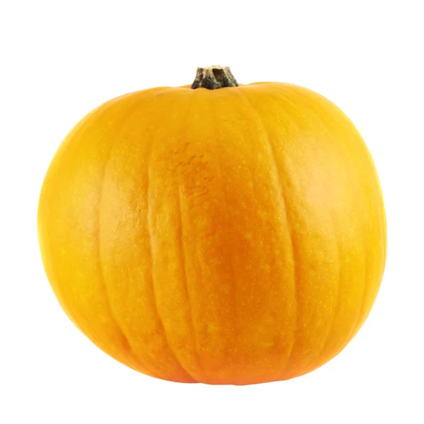 Calabaza naranja madura aislada — Foto de Stock