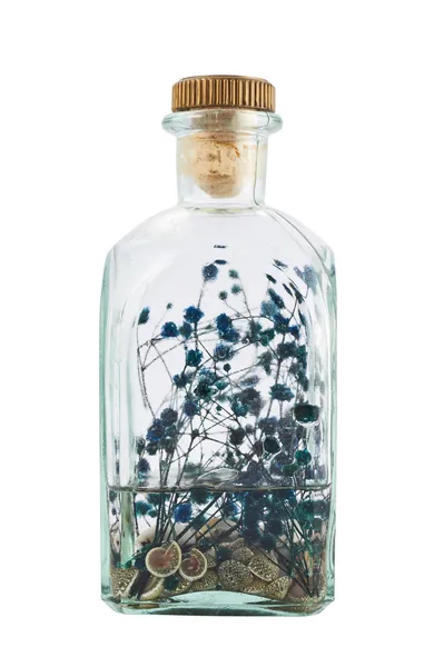 Garrafa de vidro cheia de ervas — Fotografia de Stock