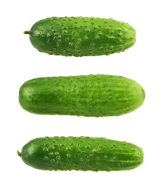 Zielone ogórki świeże, na białym tle — Zdjęcie stockowe