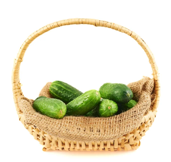 Rieten mand vol van komkommers geïsoleerd — Stockfoto