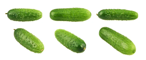 Groene verse komkommers geïsoleerd — Stockfoto