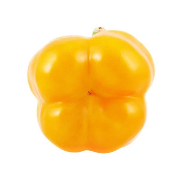 Zoete oranje paprika geïsoleerd — Stockfoto