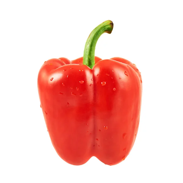 Zoete paprika geïsoleerd — Stockfoto