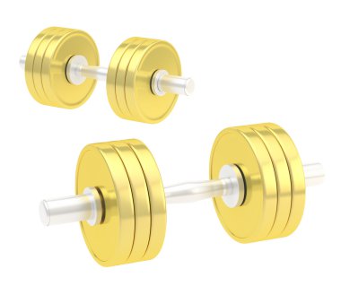 iki ayarlanabilir altın dumbbell kompozisyon
