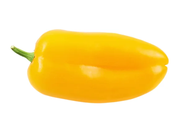 Pimentão amarelo pimentão isolado — Fotografia de Stock