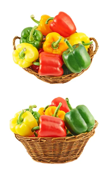 Wicker basket full of bell peppers — Stock Photo, Image