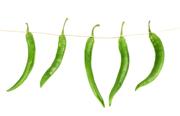 Tied chili peppers isolated — Stock Photo, Image